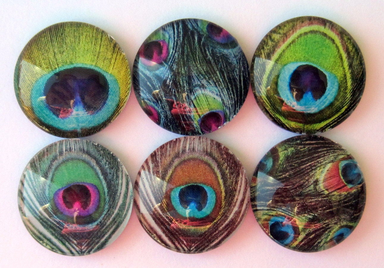 Peacock Feather Magnets - Set of Six Glass Magnets - 1 Inch Domed Glass Circles
