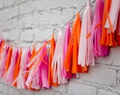 Tassel Party Garland: Hot Pink