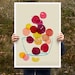 Kitchen Art poster print - Plums - Summer Fruit Art / 20"x27" - archival fine art giclée print