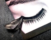Black Feather False Eyelashes