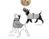 Dog Coats - Vintage Pattern to Knit and Crochet Circa 1934 - Instant Download PDF - PrettyPatternsPlease