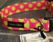 Dog Collar Xsmall 1/2" Ready to Ship Sale