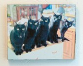 Five Cats in a Line, color 8x10 Wood Mount Print