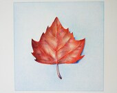 Autumn (an original drawing)