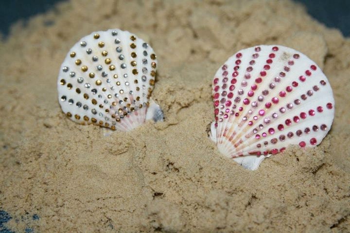 aphrodite seashell