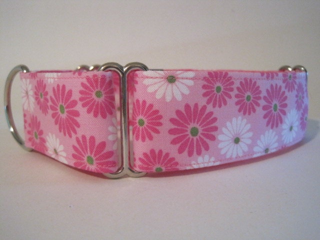1.5 inch Martingale Collar, Pink, Daisy, Floral, Greyhound Collar, Dog Collar, Daisies, Greyhound Martingale
