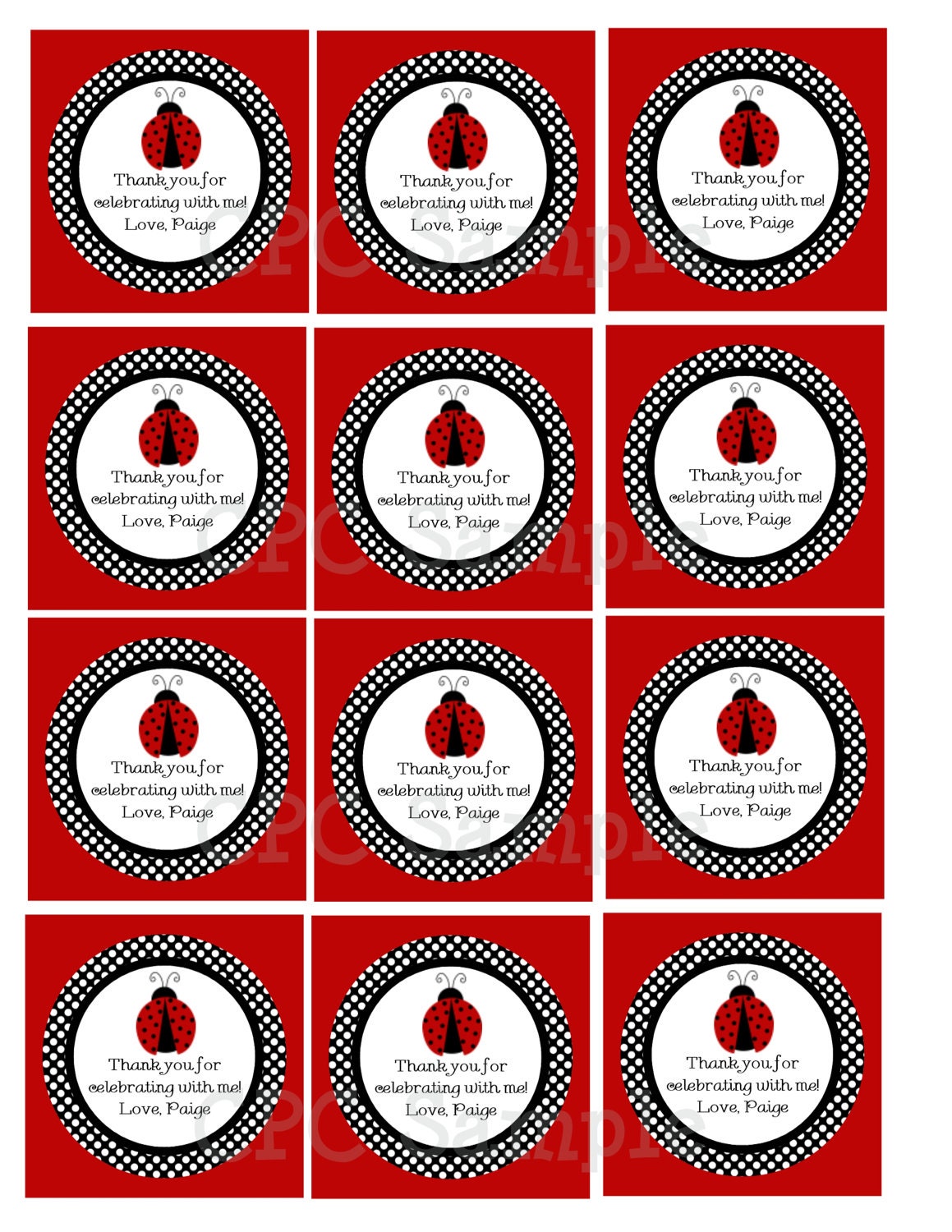 Ladybug Invitations Red and Black Ladybug Birthday Invitation Printable or Printed