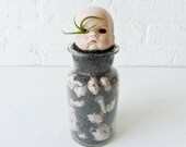 Cranky No Play Baby - Vintage Bisque Doll Air Plant Garden