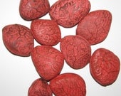 Three Pangi Red Pod Beads, Organic Beads, Natural Beads, Seed Beads, EcoBeads