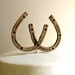Chocolate Candy Entwined Horseshoes -Cake Embellishment or Stand Alone Candy
