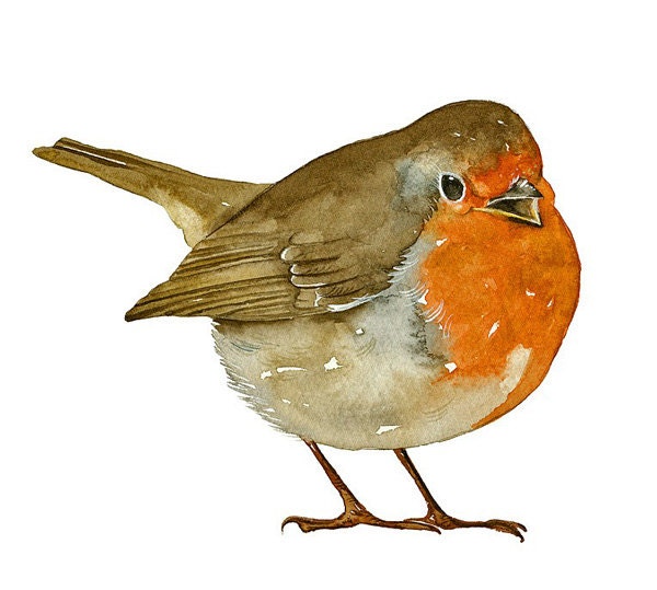 Robin Bird Art Print of my original watercolor painting limited edition