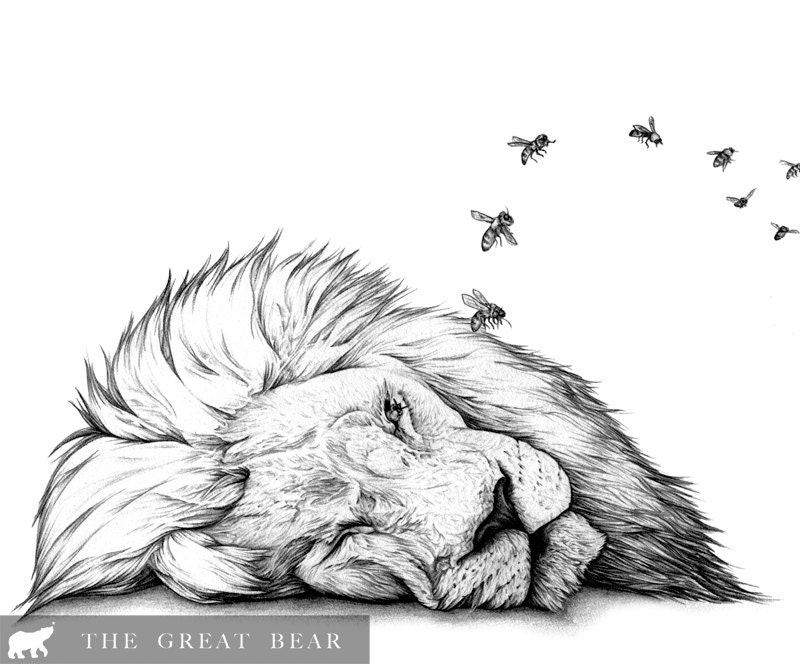 The Bees Made Honey (in the lions carcass) - Print by Amy Dover