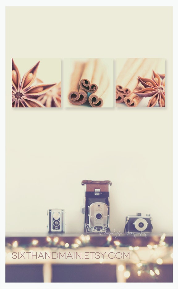 food photography, star anise still life holiday a little sugar, a little spice no.1, coffee brown food kitchen print baking, desserts sweets