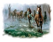 Wild Morning Gathering of Horses Choice of Color Womans T-Shirt 100% Cotton
