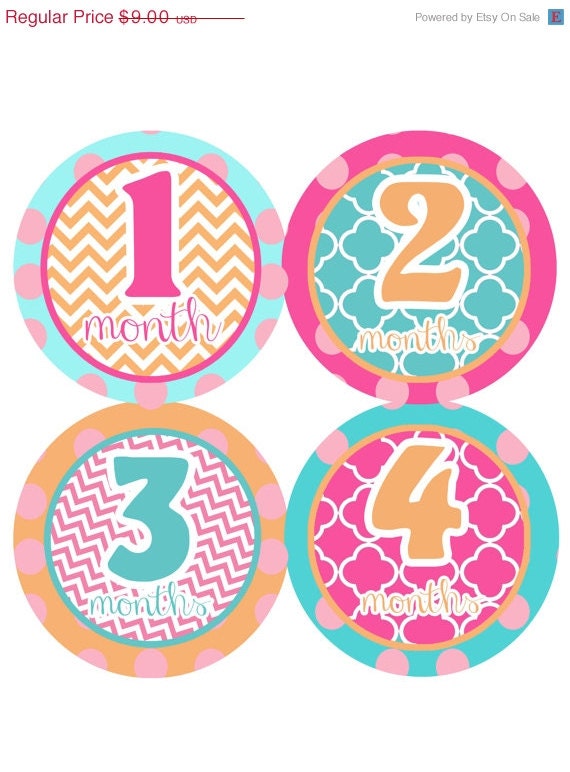 Baby Month Stickers Baby Girl Monthly Onesie Stickers Monthly Onesie Sticker Girl Baby Shower Gift Photo Prop Baby Milestone Sticker