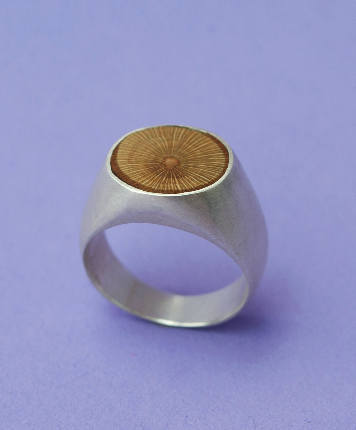 Silver Round Wood Ring