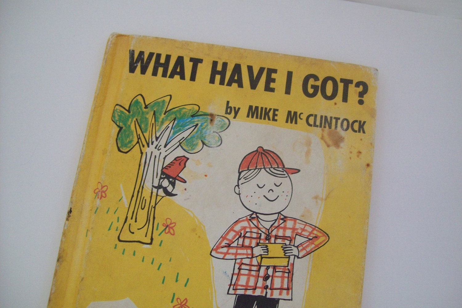 Vintage Books - What Have I Got - copyright 1961 - Collectible