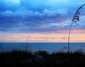 Sea Oats Sunset and Storm Clouds - Venice Bch, FL Fine Art Photography 8x12