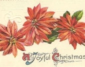 Red Poinsettia Trio on Vintage Christmas Postcard 1914 Big Fork Minnesota cancel