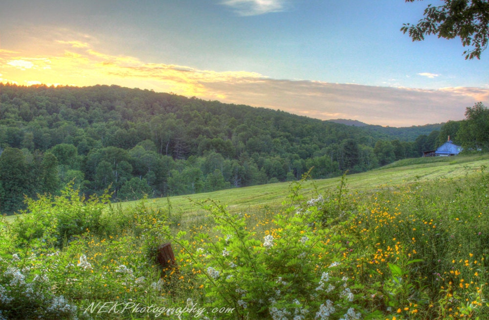 Sugar Bush Farm 8 x 12 Print