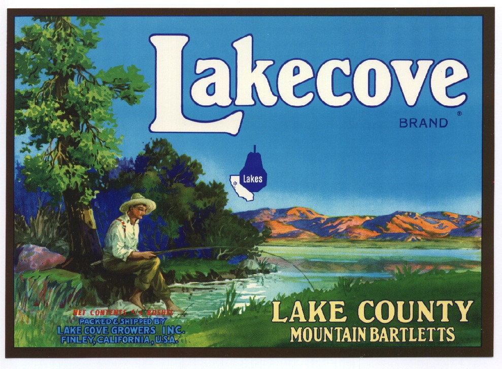 1950s Boy Fishing Bamboo Pole Clear Lake County CA Crate Label Original