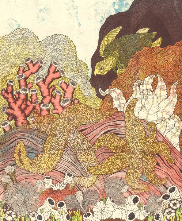 Aquatic Lithograph Print 28"x36"