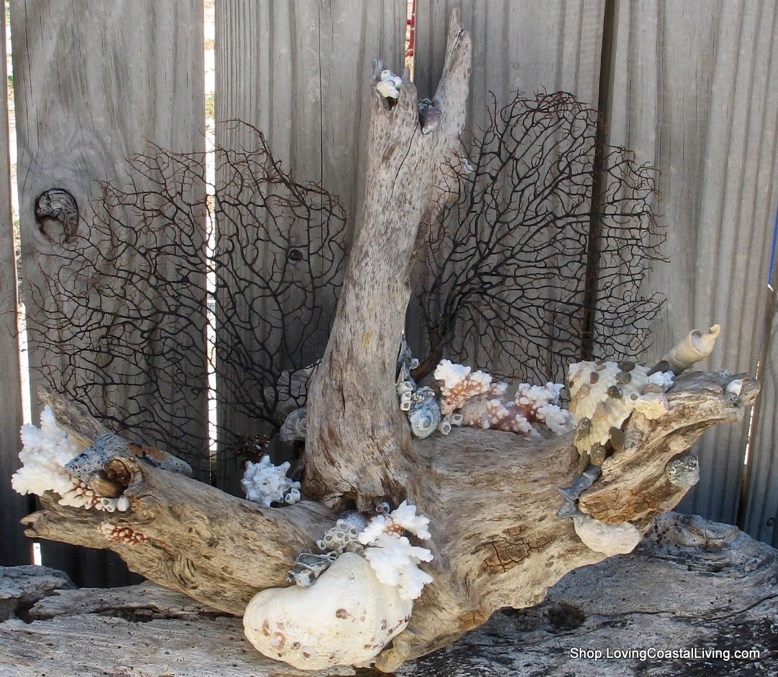Coastal Home Decor- Natural Driftwood Sculpture featuring Vintage Coral, Black Sea Fans, and Sea Shells