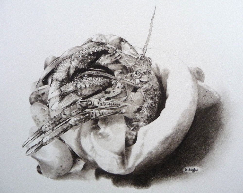 Hermit crab charcoal drawing, original artwork
