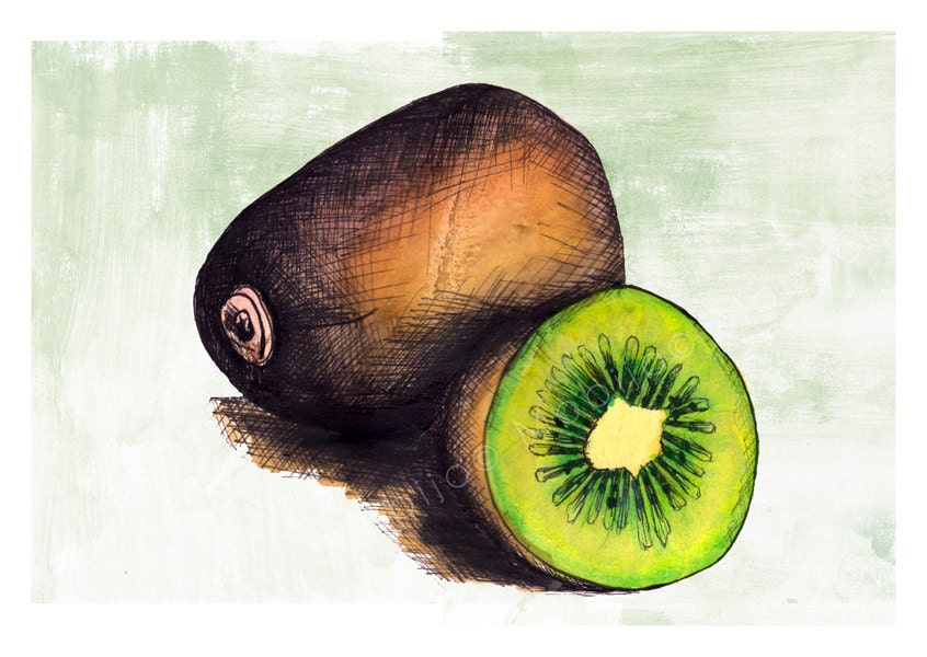 Kiwi illustration postcard-with envelope-print from original ink and watercolor illustration