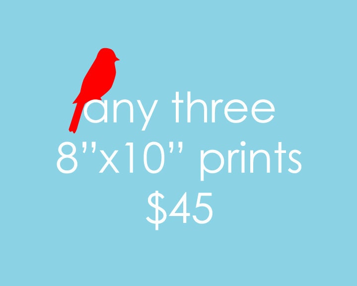 Any three 8"x10" prints in the shop