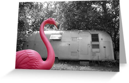 Pink Flamingo Greeting Card