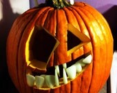 pumpkin teeth 3 Pack AFTER Halloween  Special " Buckteeth"  Lg, Med, Sm  (36) Pumpkin Teeth in Total  ships to  USA, United Kingdom,UK,