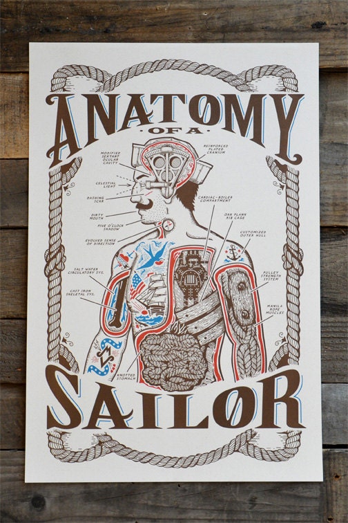 NEW - Anatomy of a Sailor POSTER 12" x 18"