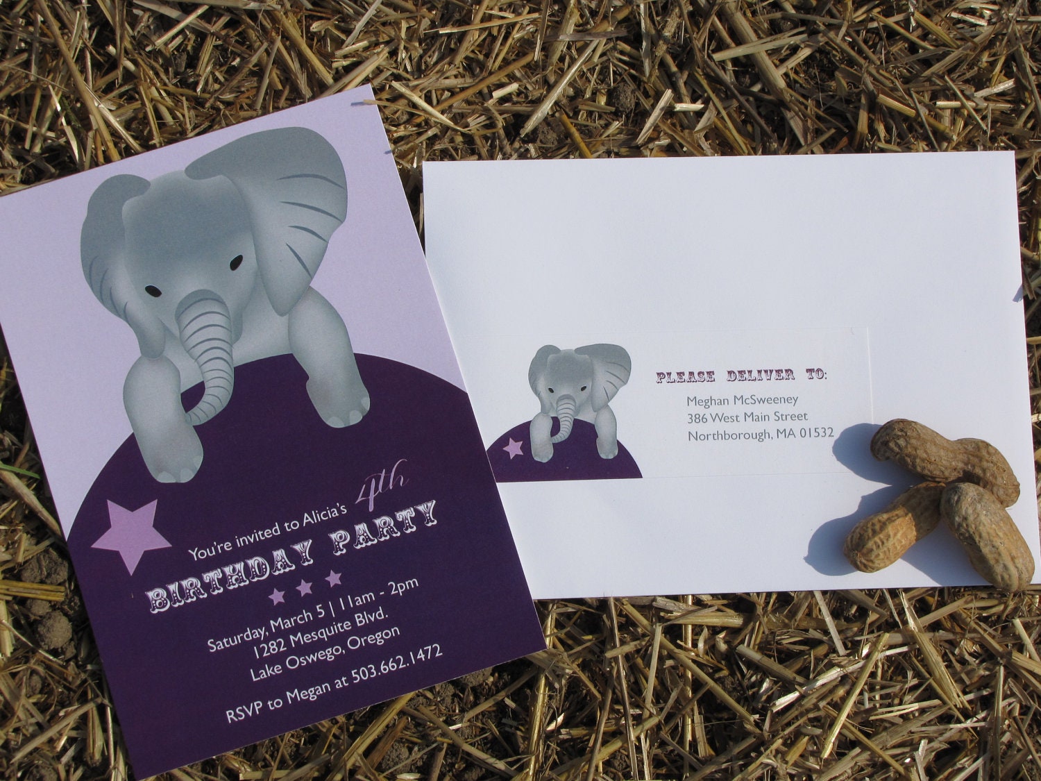 Circus Elephant Birthday Invitation - Purple / Set of 10