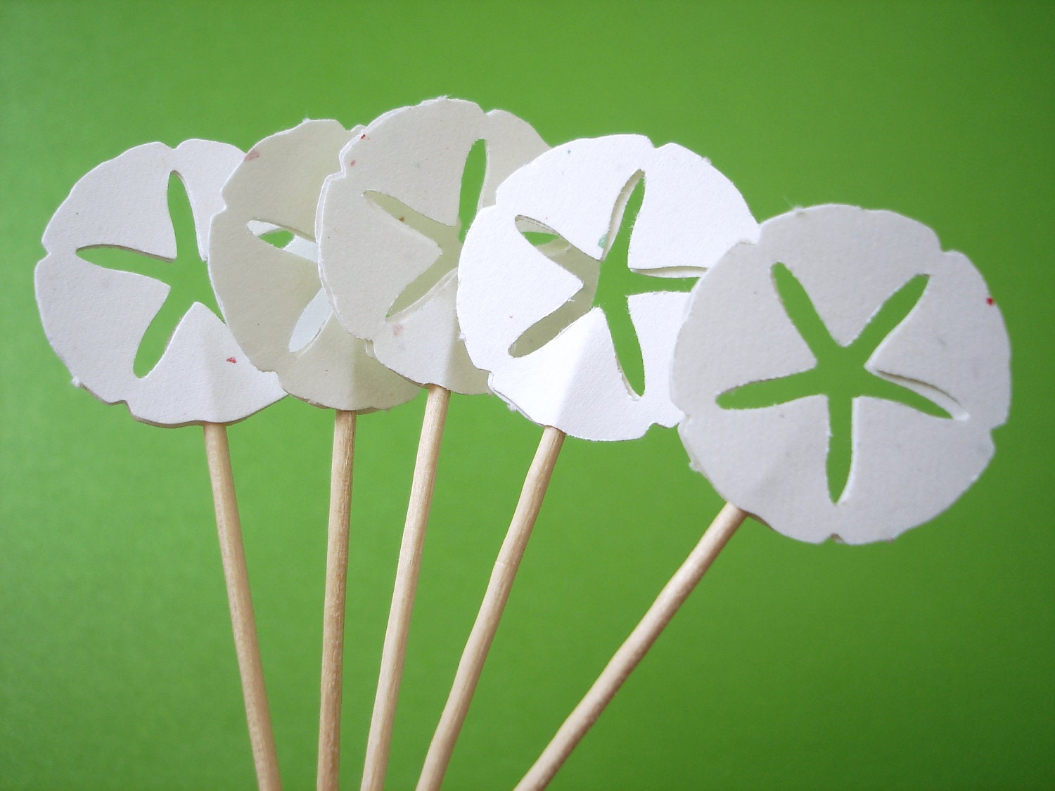 24 Stardust White Sand Dollar Party Picks, Toothpicks, Cupcake Toppers, Food Picks, Drink Picks - No909