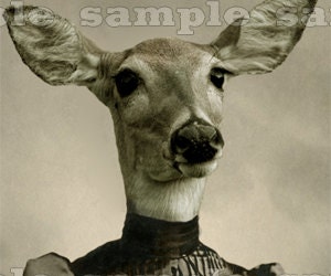 Fox Art Print. Anthropomorphic Altered Victorian Photo  - 5 x 7- Ruby O'Clancy is One Foxy Lady
