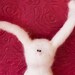 little hare