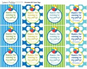 DIY Printable, Beach Ball FAVOR TAGS Il_170x135