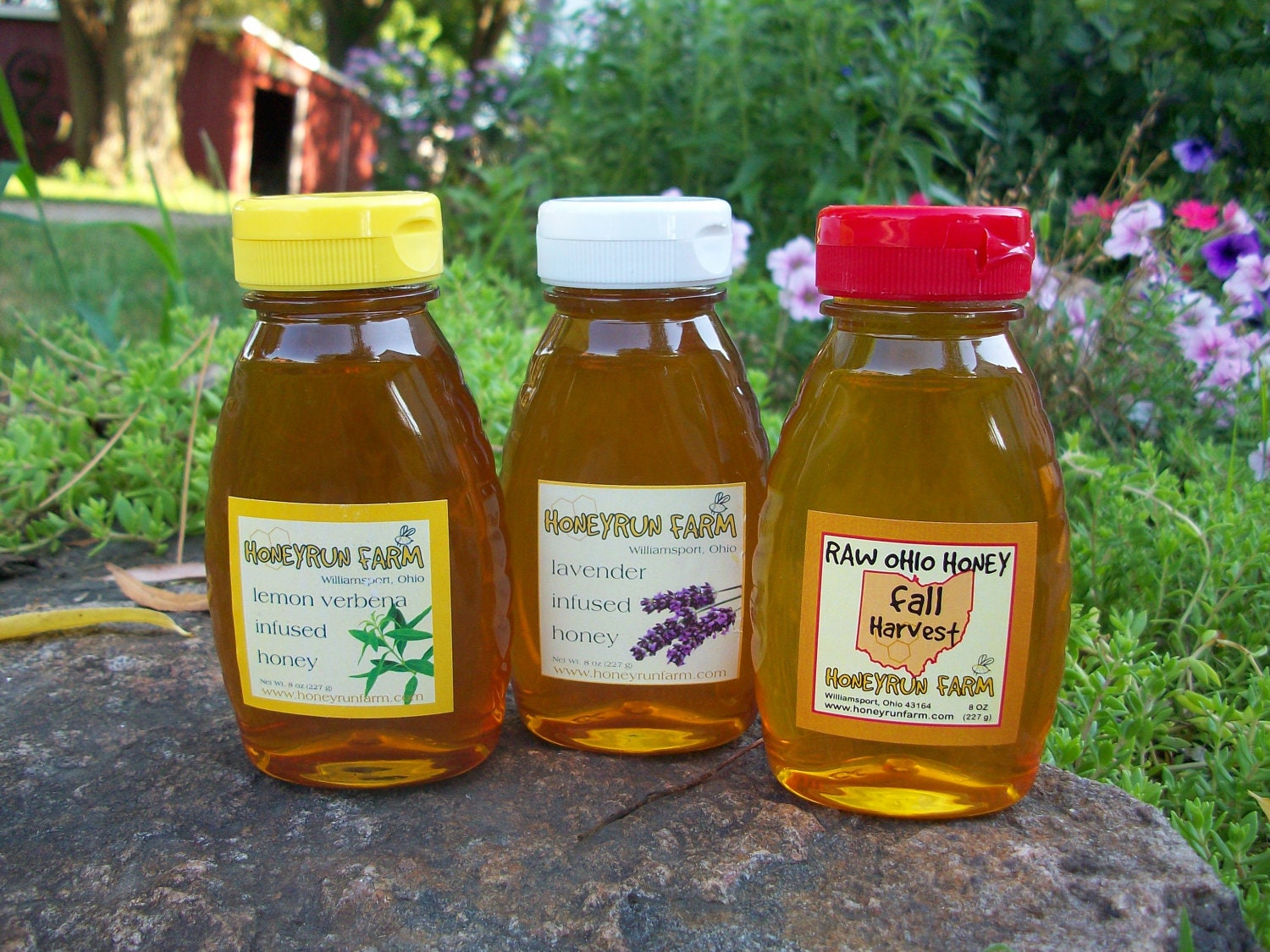 Raw Honey Sampler - Fall, Lavender Infused, and Lemon Verbena Infused Honey -three 8 ounce bottles