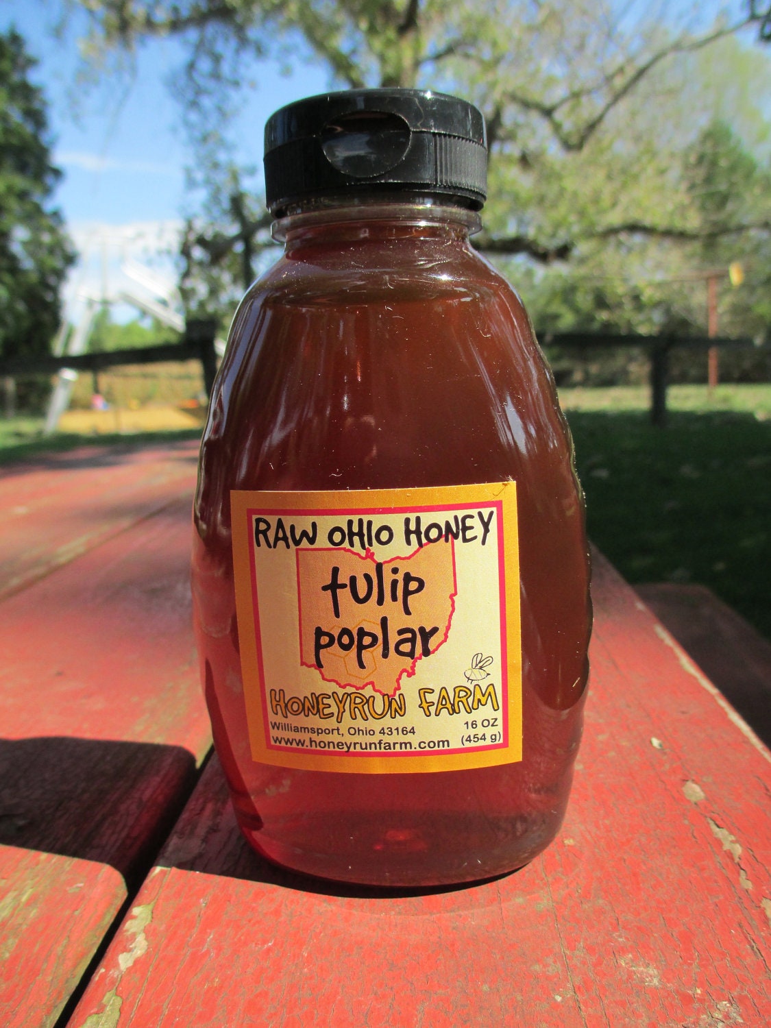Pure Raw Ohio Tulip Poplar Honey -16 ounce jar