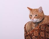 Custom Cat Canoe a Modern Kitty Bed in Your Fabric