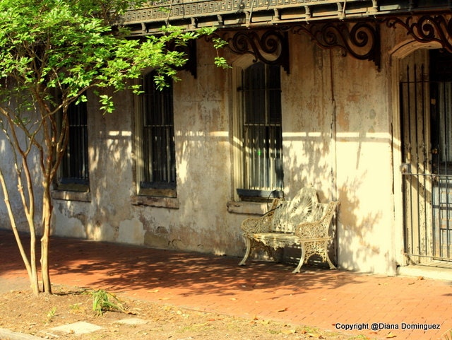 Empty Seat Savannah Photo Print 8x10 Savannah Georgia