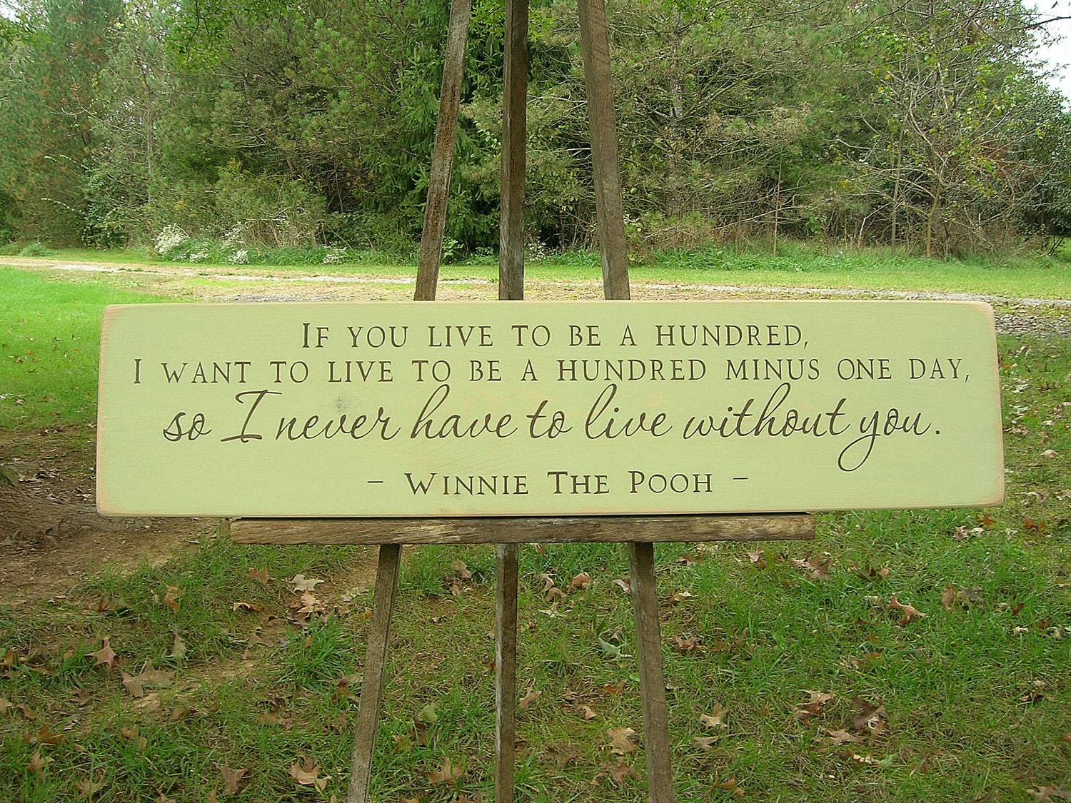 If You Live To Be A Hundred Classic Winnie The Pooh Large Wood Sign Baby Children Wedding Love