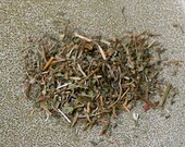 Organic Gotu Kola (Brahmi) (Centella asiatica) 2 oz.