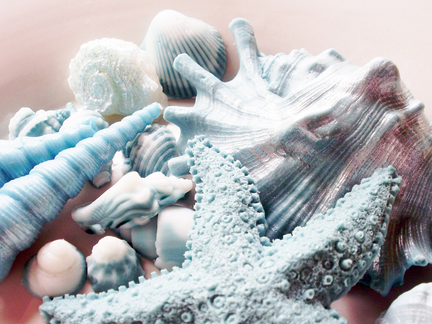 SOAP, Teal and White Opalescence Beach Shells Gift Set Scented in Coconut, Vegetable Based