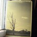 The Way to Walden Journal
