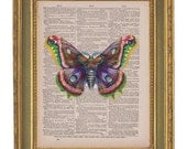 Colorful Butterfly-Vintage Dictionary Print-  8x10