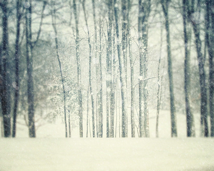 Winter Landscape Photography, Snowy Woods, Woodland, Teal, Cream, Mint, Dreamy Snow Picture, Snowy Trees, Surreal Winter Art.