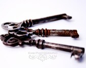 Rusty Keys.  Three Vintage Skeleton Keys Fine Art 8x12 or 8x10 Photograph