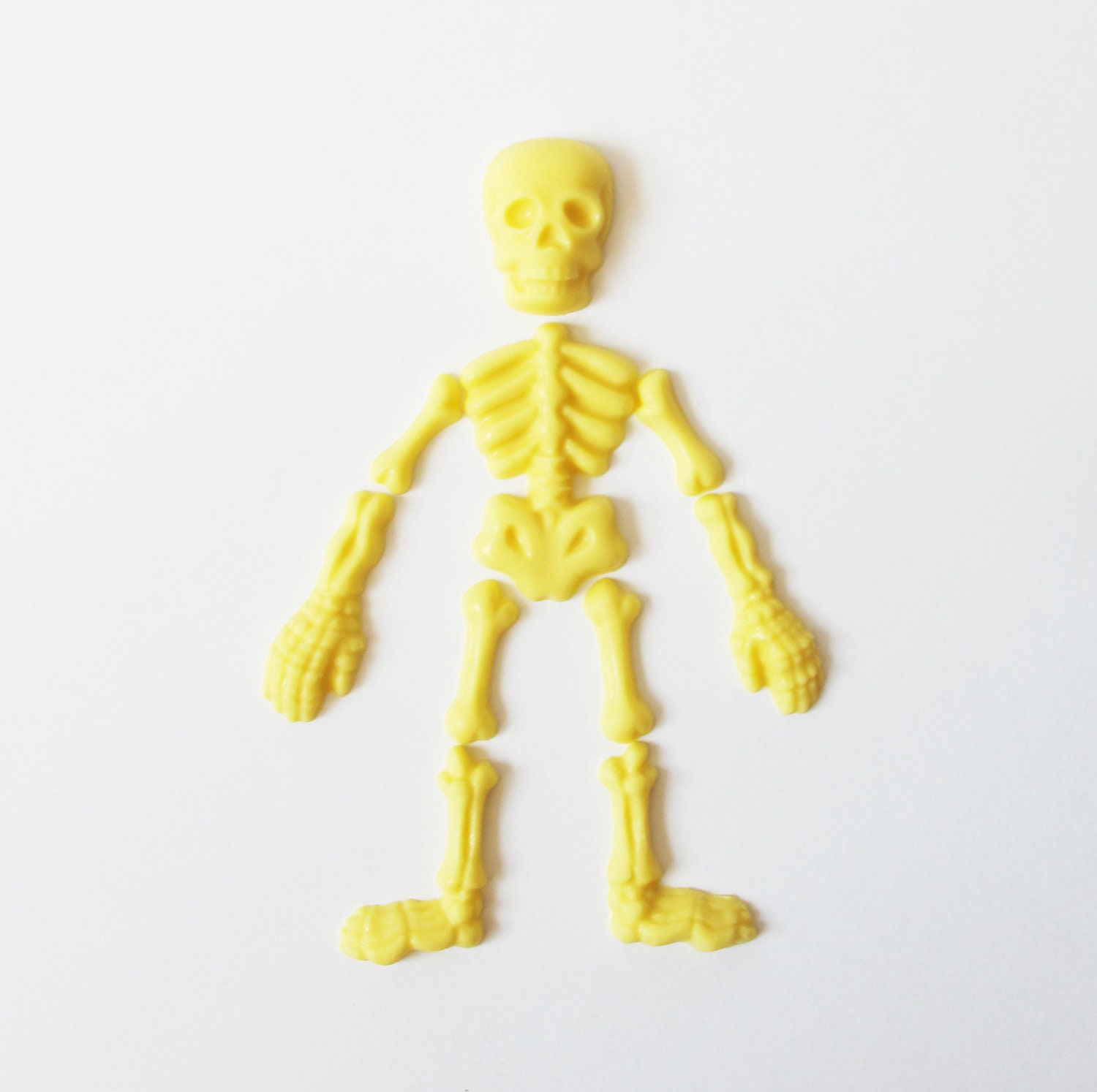 5 Chocolate Skeleton Pieces: Yellow Bones Il_170x135